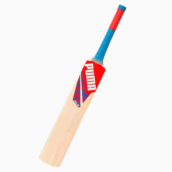 Delhi City Jnr Kashmir Willow Cricket Bat, For All Time Red-Elektro Blue-PUMA Team Royal, extralarge-IND