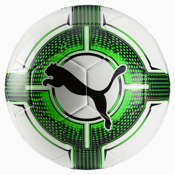 Puma evo power store ball