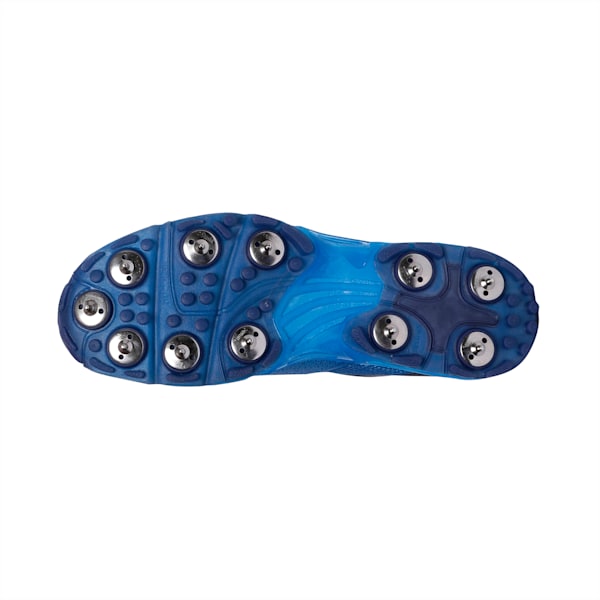 Spike 19.1 Cricket Shoes, Bleu Azur-Puma White-Peacoat, extralarge-IND