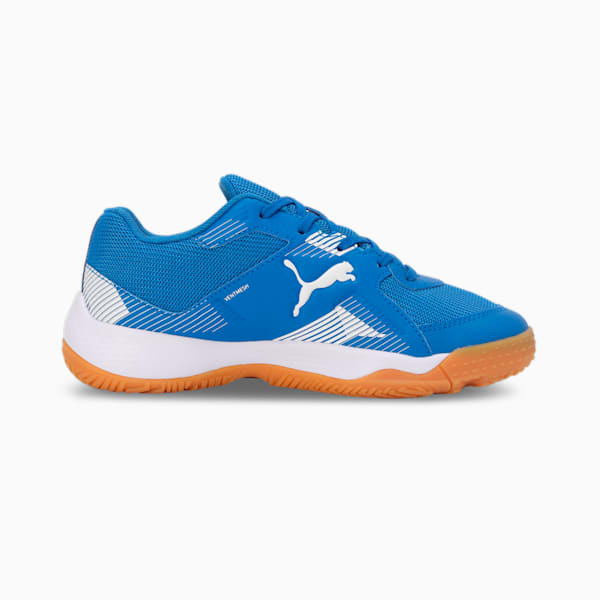 Solarflash II Youth Indoor Sports Shoes, Puma Royal-Puma White-Gum, extralarge-IND