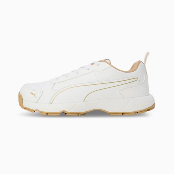 Cricket Classic Cat Men's Shoes, Metallic Gold-PUMA Silver-PUMA White-Puma Team Gold, extralarge-IND