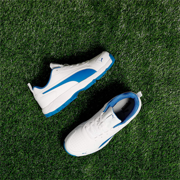 Cricket Classic Cat Men's Shoes, PUMA White-PUMA Team Royal-PUMA Silver, extralarge-IND