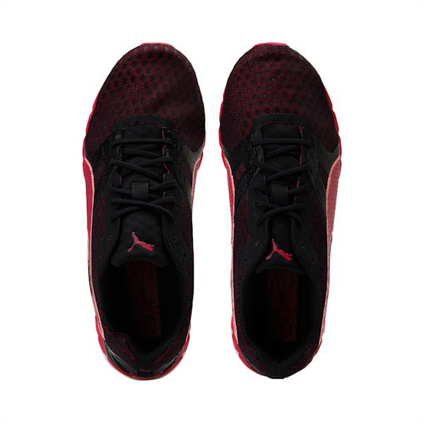 Speed 300 ignite 2 sale