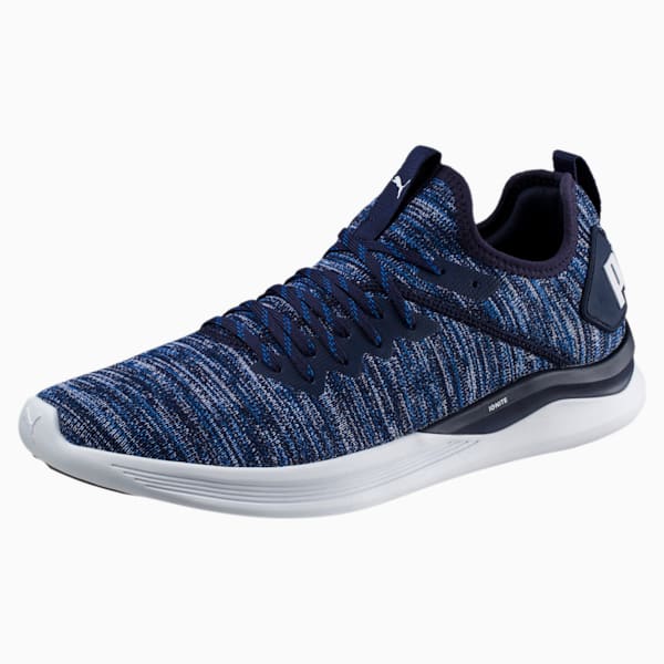 Ignite Flash evoKNIT Men's Training Shoes, Peacoat-Turkish Sea-Puma White, extralarge-IND