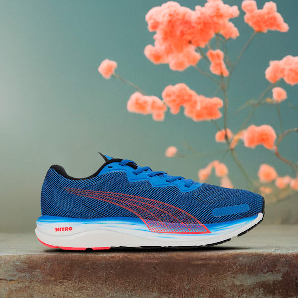 Velocity NITRO™ 2 Men's Running Shoes, Ultra Blue-Fire Orchid, extralarge-IND