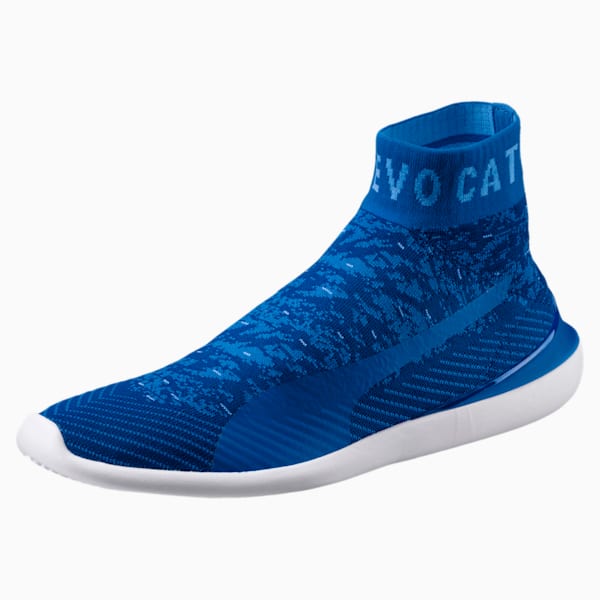 Puma ferrari evo online