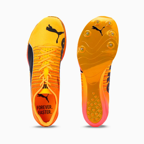 evoSPEED Forte NITRO™ Elite Men's Track & Field Sprinting Spikes, Sun Stream-Sunset Glow, extralarge