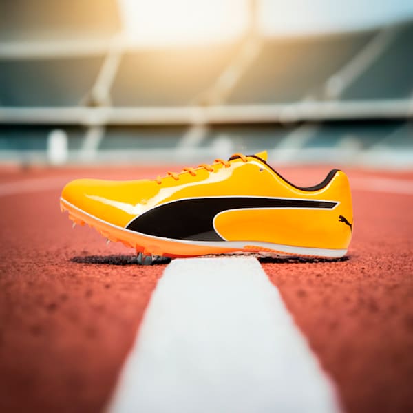 Puma running spikes clearance