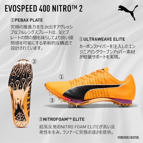 ミニエピク スマウグ ゴールド限定