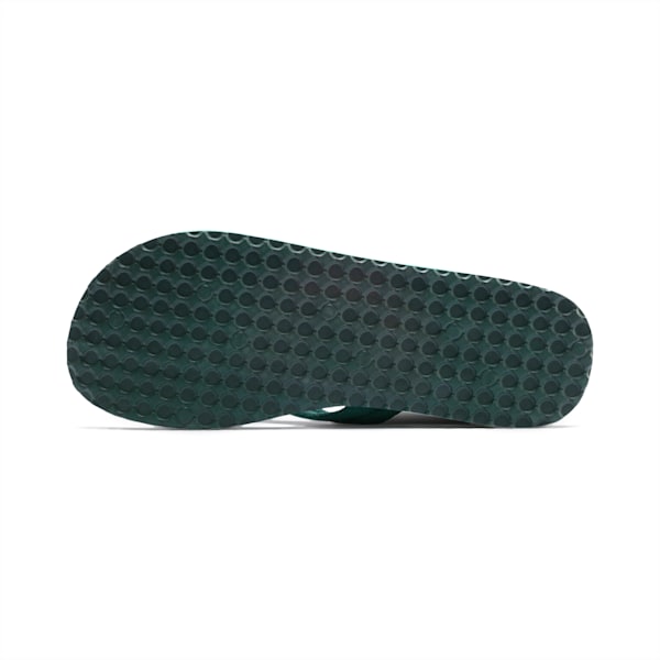 Epic Flip v2 Sandals, Ponderosa Pine-Cadmium Green, extralarge