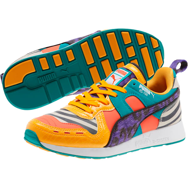 Puma r clearance system rs 100