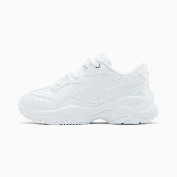 Puma cilia clearance