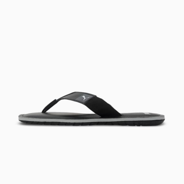 Capster V3 Men's Flip-Flops, Puma Black-Silver-Harbor Mist, extralarge-IND