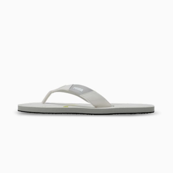 Eezay Men's Flip-Flops, Harbor Mist-Lime Squeeze-PUMA White, extralarge-IND