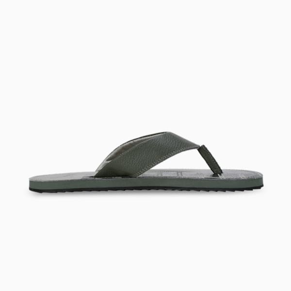 Ketava Graphic V5 Men's Flip-Flops, Green Moss-PUMA Black-Birch Tree, extralarge-IND