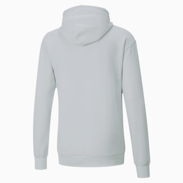 Performance Men's Graphic Hoodie, Vaporous Gray-Thyme PUMA X, extralarge