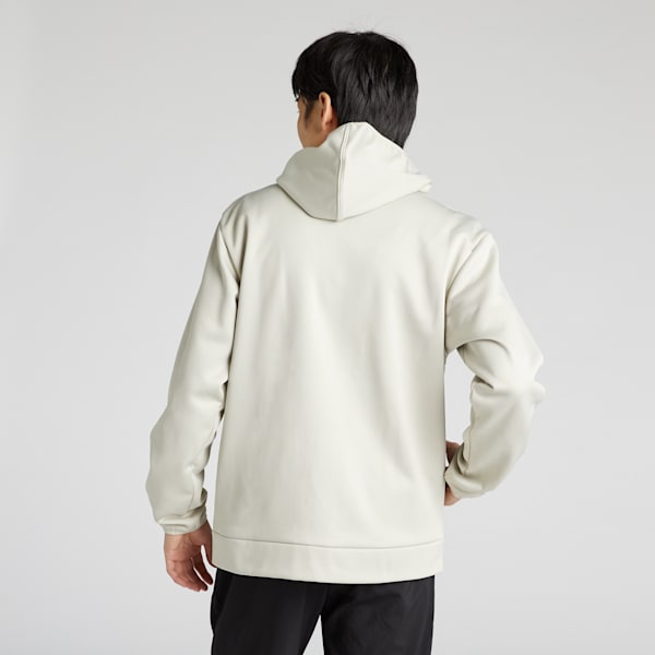 メンズ トレーニング トレインオールデイ パワーフリース フルジップ スウェット フーディ, Desert Dust, extralarge-JPN