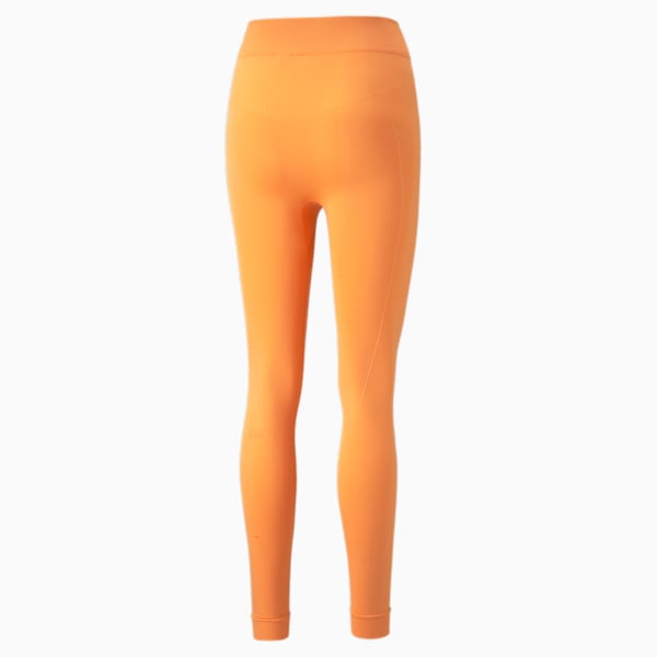 Studio Foundation Seamless Women's Tights, Clementine, extralarge-IND