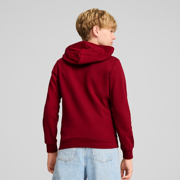 CLASSICS Logo Big Kids' Hoodie, Intense Red, extralarge