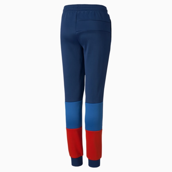 BMW M Motorsport Unisex Speed Driver Series Track Pants, Marina-Blueprint-High Risk Red, extralarge-IND
