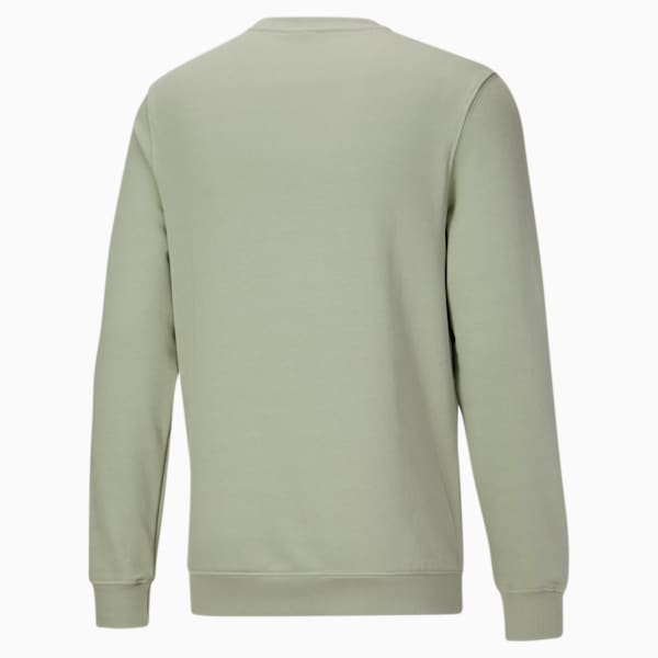 Pivot Special Men's Crewneck Sweatshirt, Desert Sage, extralarge