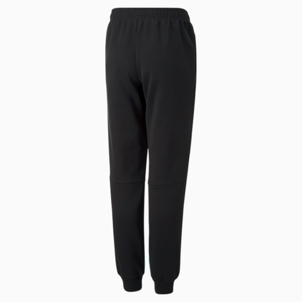 amg petronas sweatpants