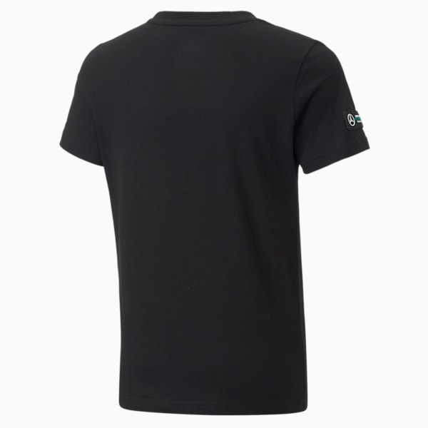 Mercedes AMG Petronas Motorsport F1 Logo Youth Regular Fit T-Shirt, Puma Black, extralarge-IND