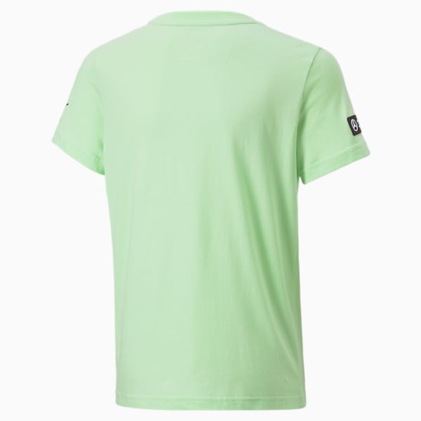 Mercedes AMG Petronas Motorsport F1 Logo Youth Regular Fit T-Shirt, Paradise Green, extralarge-IND