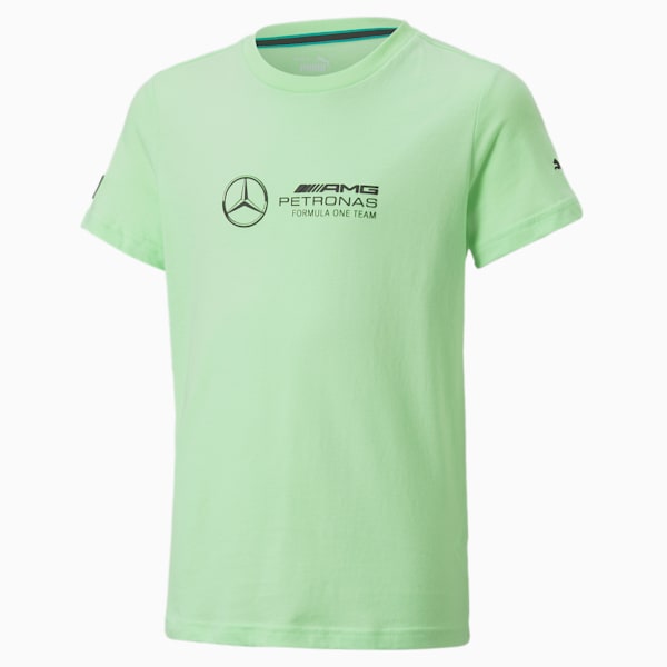 Mercedes AMG Petronas Motorsport F1 Logo Youth Regular Fit T-Shirt, Paradise Green, extralarge-IND