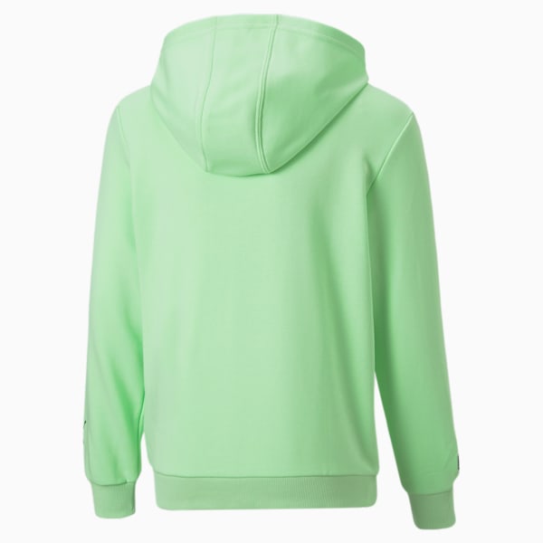 Mercedes AMG Petronas F1 Logo Youth Regular Fit Hoodie, Paradise Green, extralarge-IND