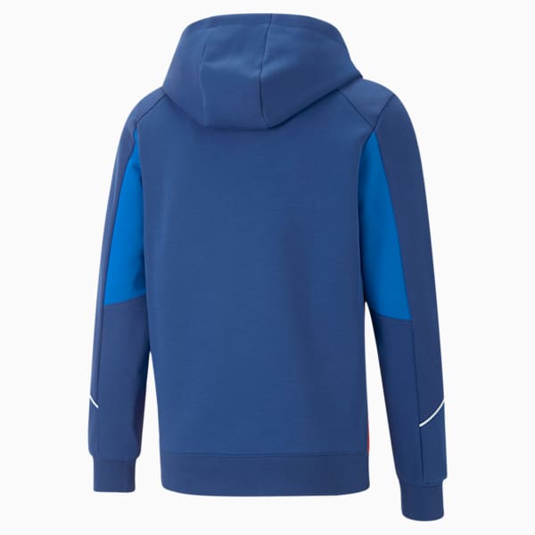 BMW M Motorsport Hooded Sweat Jacket Men, Pro Blue-M Color, extralarge