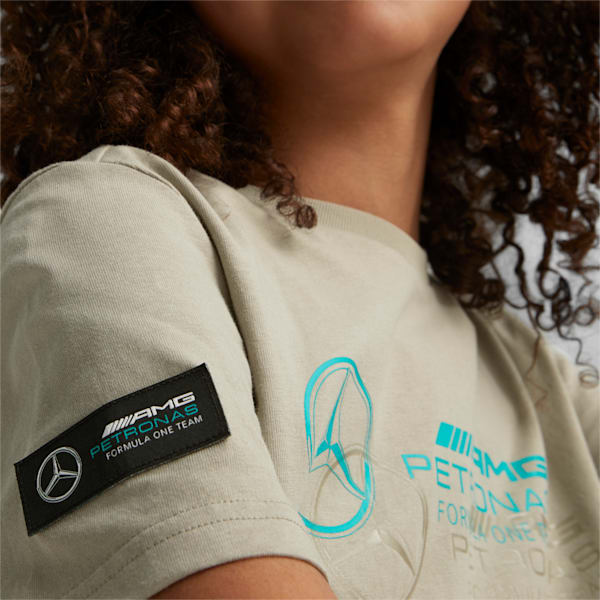 Mercedes AMG Petronas F1 Logo Youth Regular Fit T-Shirt, Birch Tree, extralarge-IND