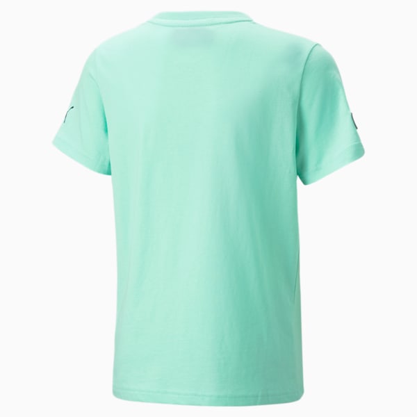 Mercedes AMG Petronas F1 Logo Youth Regular Fit T-Shirt, Mint, extralarge-IND
