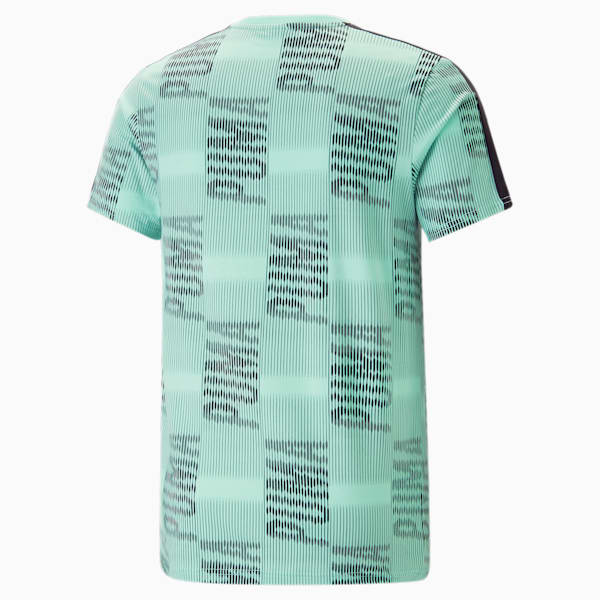 T7 Sport Men's Slim Fit T-Shirt, Mint-AOP, extralarge-IND