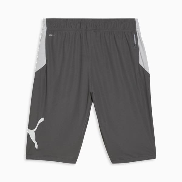 PUMA Cat Men's Training Shorts, CASTLEROCK-Puma White, extralarge