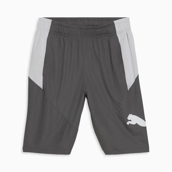 PUMA Cat Men's Training Shorts, CASTLEROCK-Puma White, extralarge