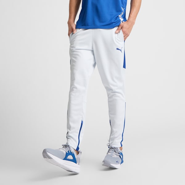 Training puma online
