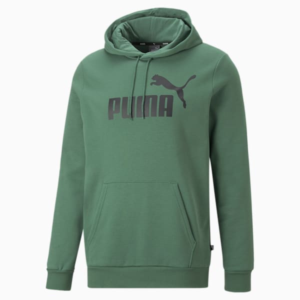 ESS Big Logo Hoodie, Deep Forest, extralarge-IND