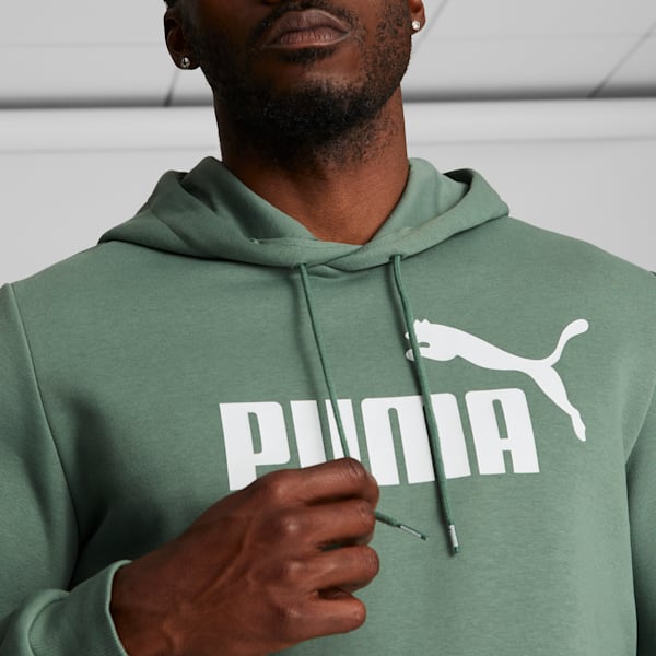 Essentials Men's Big Logo Hoodie, Eucalyptus, extralarge