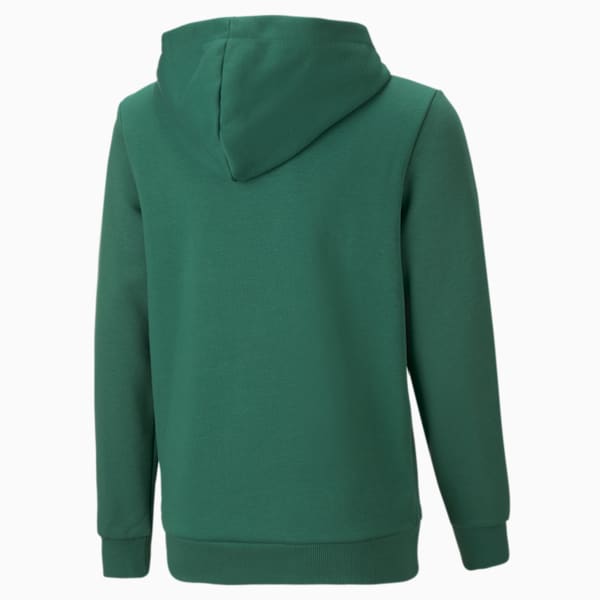 Essentials Big Logo Youth Hoodie, Vine, extralarge-GBR