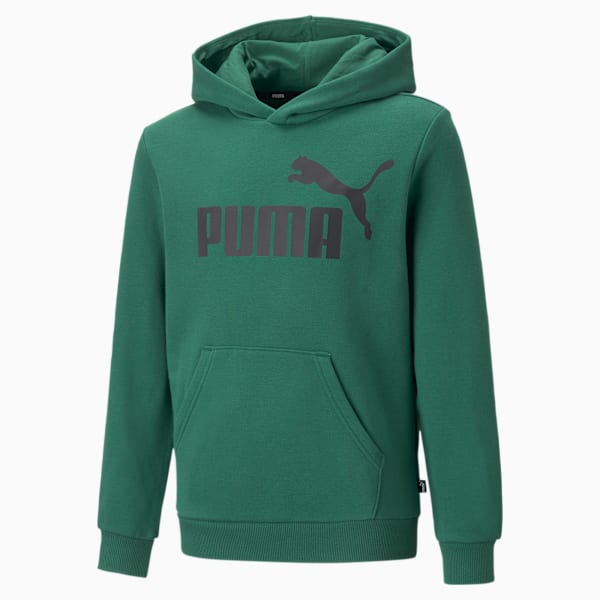 Essentials Big Logo Hoodie Youth, Vine, extralarge-DFA