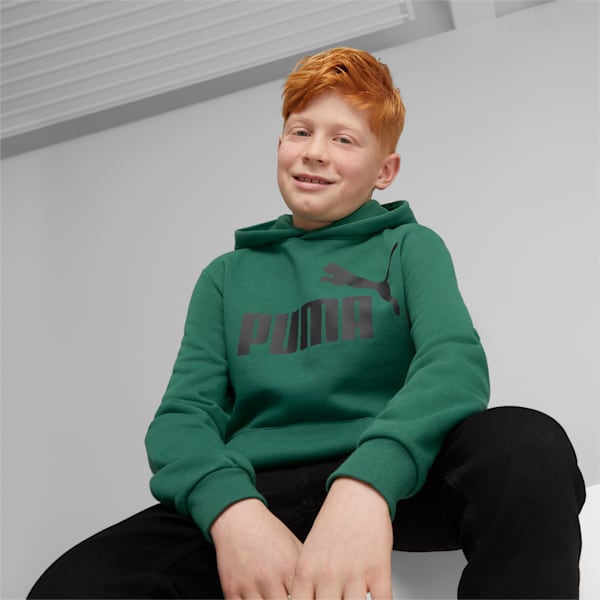Essentials Big Logo Youth Hoodie, Vine, extralarge-GBR