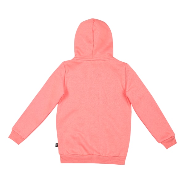 Big Logo Full-Zip Youth Hoodie, Carnation Pink, extralarge-IND