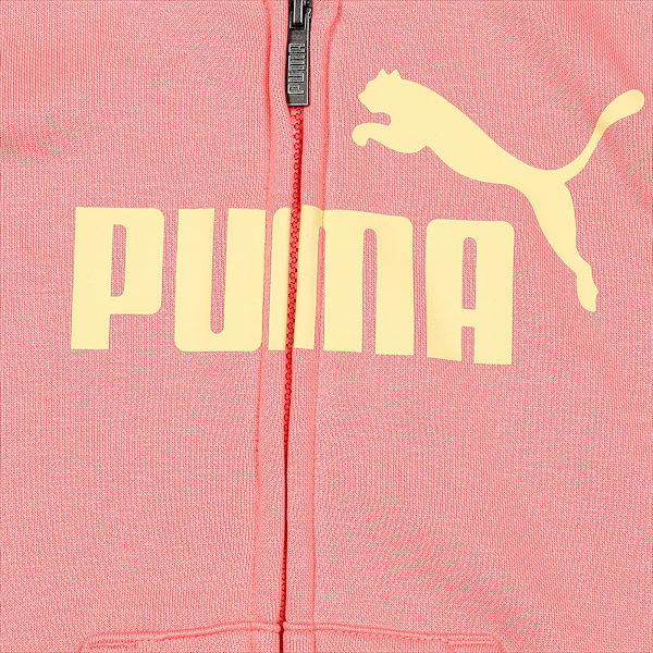 Big Logo Full-Zip Youth Hoodie, Carnation Pink, extralarge-IND