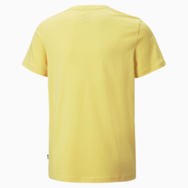 Logo Boy's T-shirt, Mustard Seed, extralarge-IND