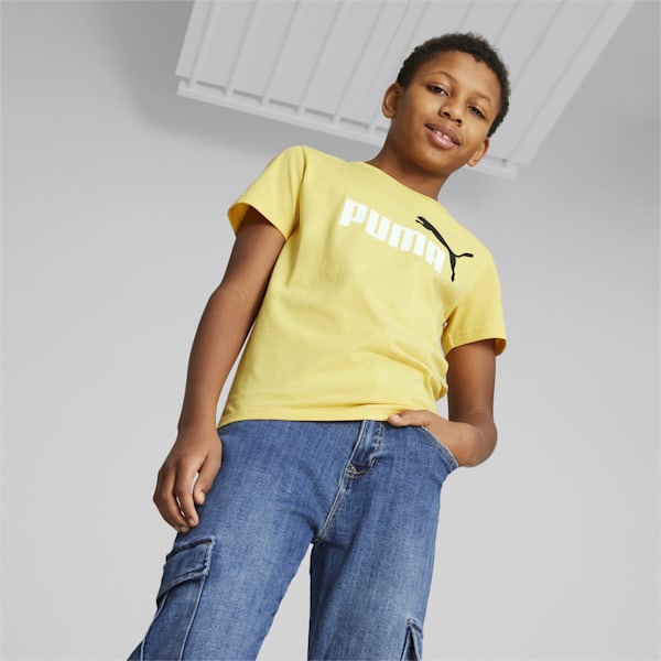 Logo Boy's T-shirt, Mustard Seed, extralarge-IND