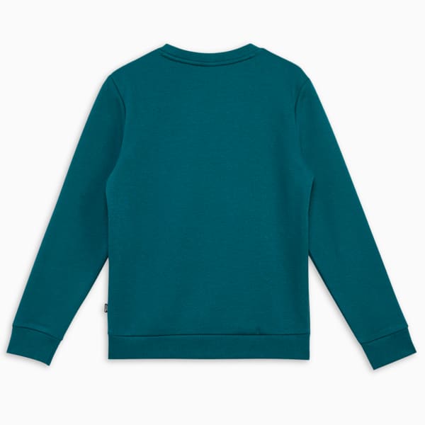 Two Tone Big Logo Youth Sweatshirt, Cold Green, extralarge-IND
