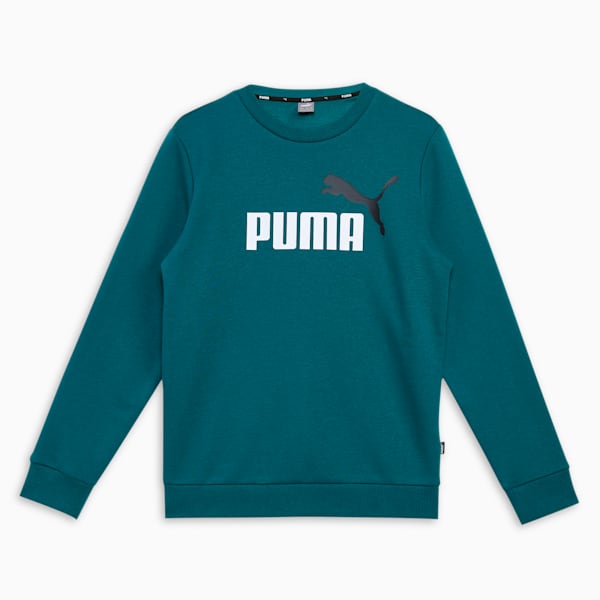 Two Tone Big Logo Youth Sweatshirt, Cold Green, extralarge-IND