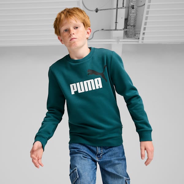 Two Tone Big Logo Youth Sweatshirt, Cold Green, extralarge-IND