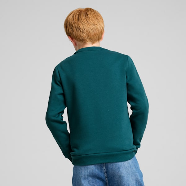 Two Tone Big Logo Youth Sweatshirt, Cold Green, extralarge-IND